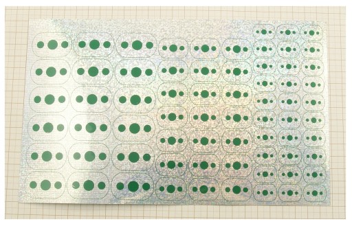 FOLIA HOLOGRAFICZNA Z NADRUKIEM DO PRODUCJI BŁYSTEK WTP-No.351 25x15cm F1