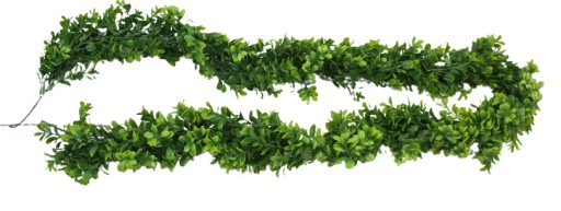 Girlanda z bukszpanu bukszpan 170 cm