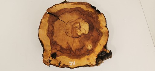 Plaster Jabłoni 40x40cm Drewno Pod Żywicę Stolik