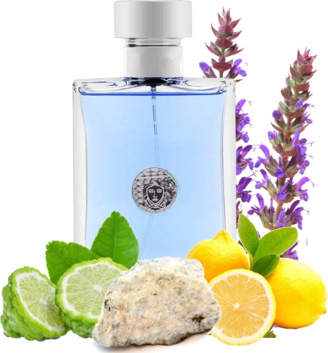 VERSSAGE POUR HOMME | Perfumy Męskie 100ml EDT
