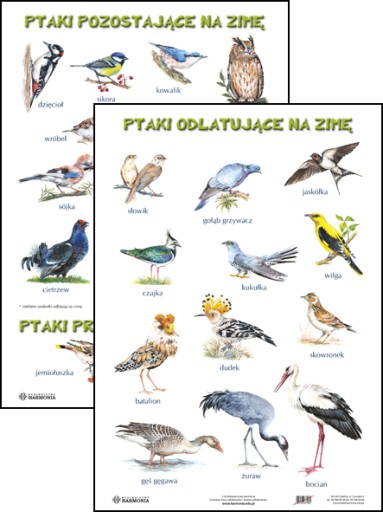 PTAKI ODLATUJĄCE NA ZIMĘ