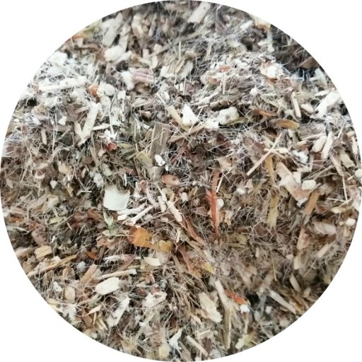 Czarcie żebro ostrożeń ziele 250g Zielnik Jagi