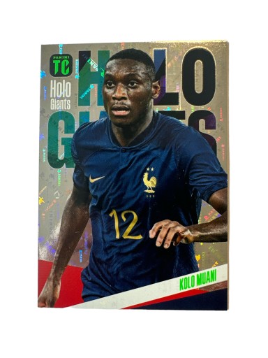TOP CLASS 2024 Kolo Muani Holo Limited