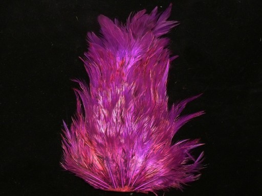 KAPKA SIODŁOWA KOGUTA KOLOR PURPLE