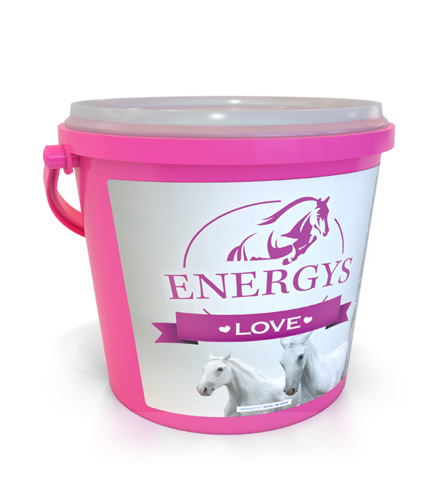 K- ENERGYS LOVE W2