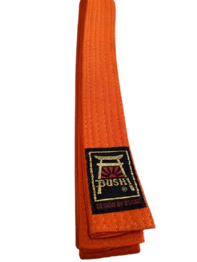 Pas karate taekwondo judo Bushi pomarańczowy 180cm