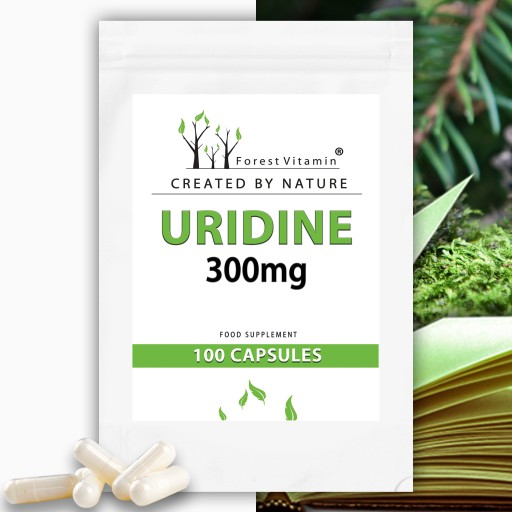 FOREST URYDYNA UMP 100 kaps ALZHEIMER MÓZG