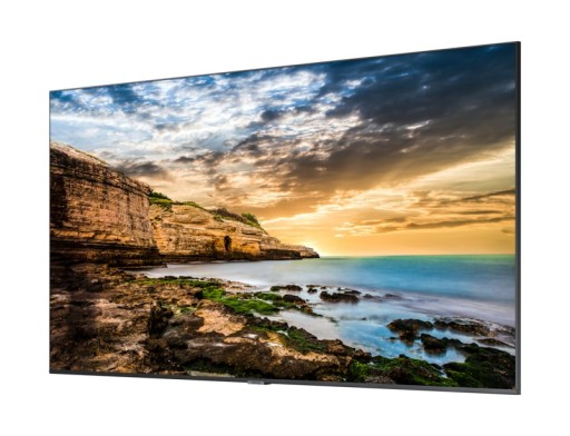 Monitor Samsung QE65T (LH65QETELGCXEN) + UCHWYT