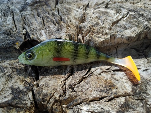 SEWRO CUSTOM OKOŃ 7,5cm