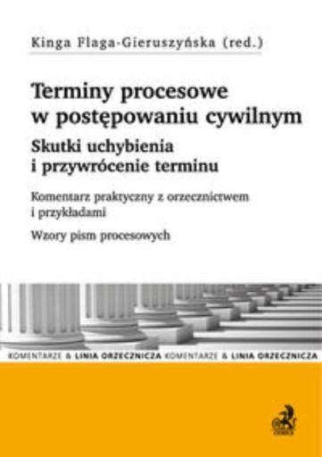 Terminy procesowe w postępowaniu cywilnym