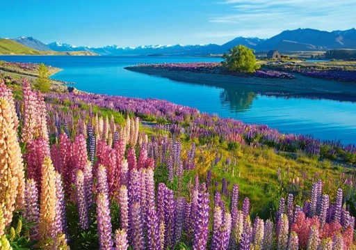 Puzzle 500 ELEMENTÓW Jezioro Tekapo w Nowej Zelandii CASTORLAND