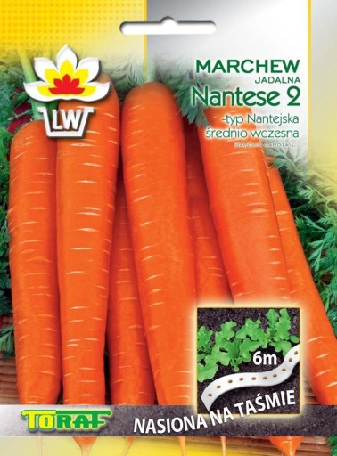 Nasiona na taśmie Marchewka średnio -wczesna