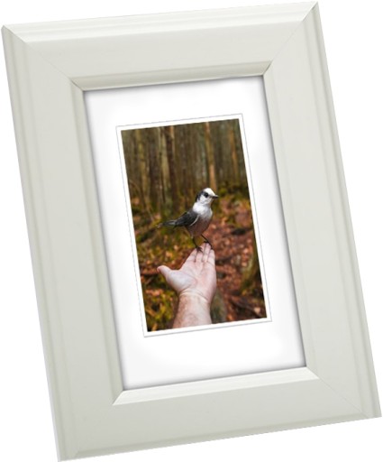 RAMKA NA ZDJĘCIA KREMOWA RAMA DREWNIANA 28x35