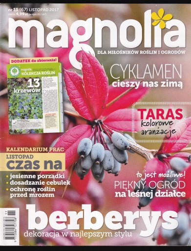 MAGNOLIA 11/2017 CYKLAMEN, BERBERYS