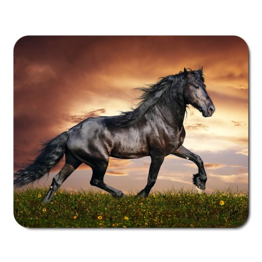 PODKŁADKA POD MYSZ MYSZKĘ KOŃ KONIE KONIKI HORSE