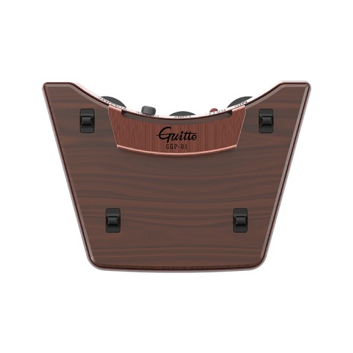 Przetwornik Guitto GGP-01