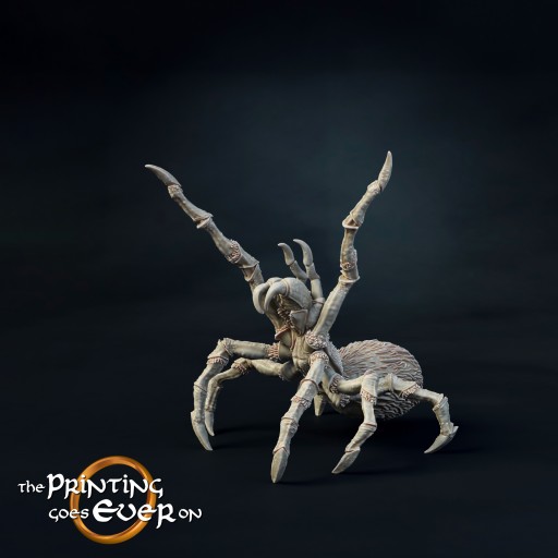 Small Spider C The Printing Goes Ever On