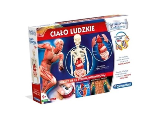 NAUKOWA ZABAWA. CIAŁO LUDZKIE NAUKOWA ZABAWA