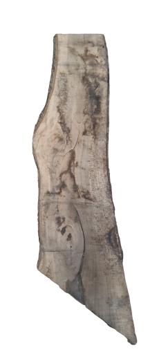 Orzech włoski, walnut, nussbaum, deski, tarcica 1510x390x58