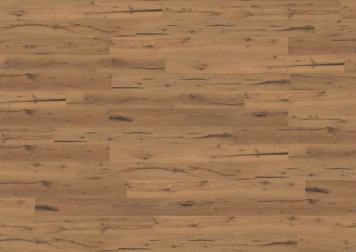 KENTUCKY Colorado City DDE mocno RW04322 Wicanders