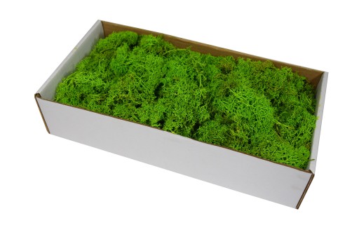 Mech chrobotek reniferowy - jasnozielony, 300 g