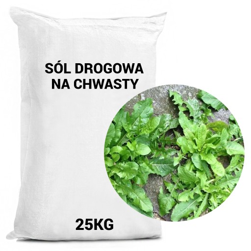 ŚRODEK NA CHWASTY PREPARAT ŚRODEK CHWASTOBÓJCZY ZWALCZANIE SÓL DROGOWA 25KG
