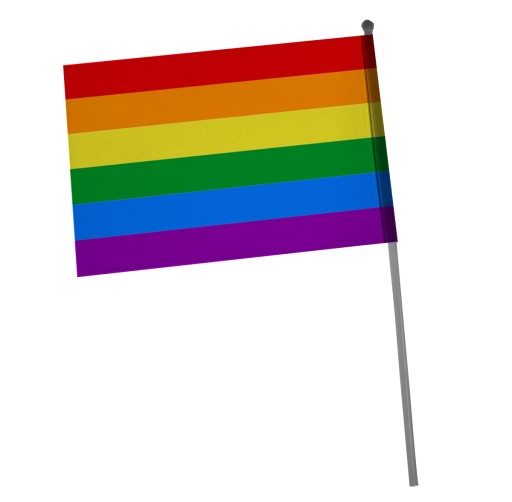CHORĄGIEWKA mała Z PATYCZKIEM flaga LGBT