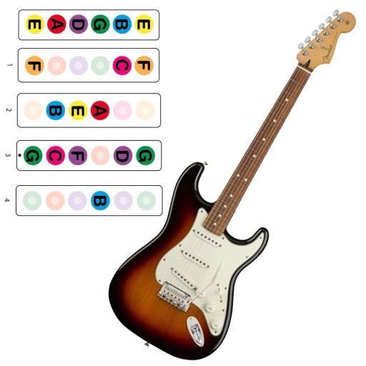 Naklejki na gitarę gryf - elekt. + kals. gratis !