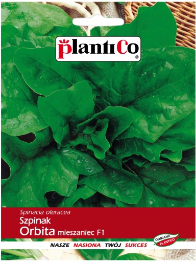 PlantiCo Szpinak późny Orbita 10g
