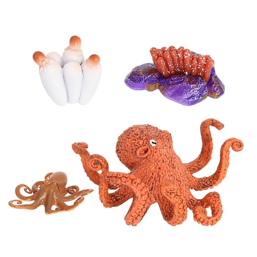 Devilfish Life Cycle Model Toy Figures &