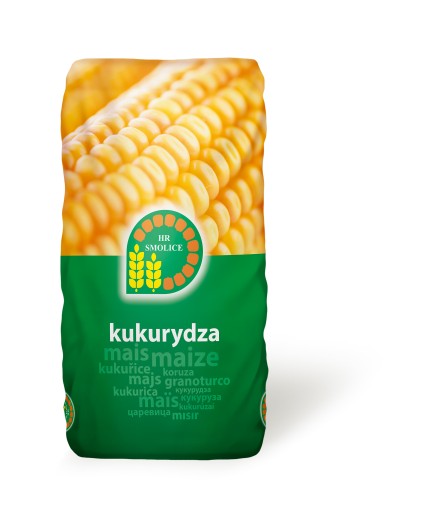 Nasiona kukurydzy Fortop FAO 230 K 50tys.nasion