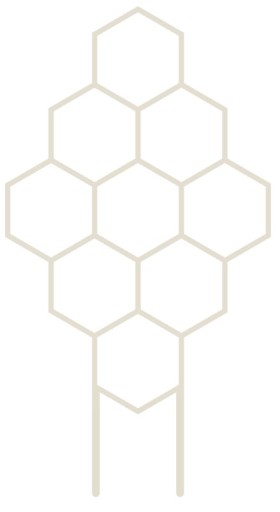 PODPÓRKA KWIATÓW ROŚLIN PERGOLA MIÓD 37cm