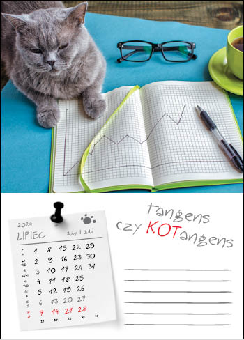 Kalendarz Ścienny 2024 Koty w Pracy Kotki Cat