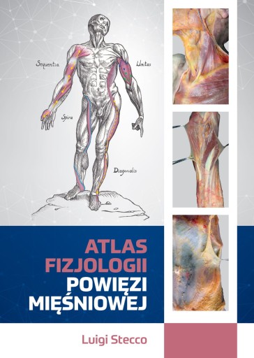 Atlas fizjologii powięzi mięśniowej STECCO