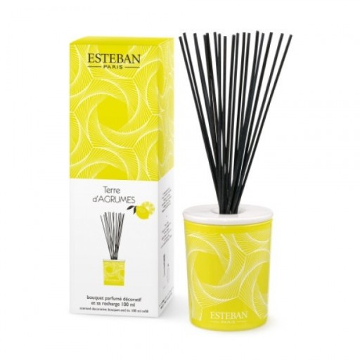 Dyfuzor zapachowy 100ml Terre dAgrumes