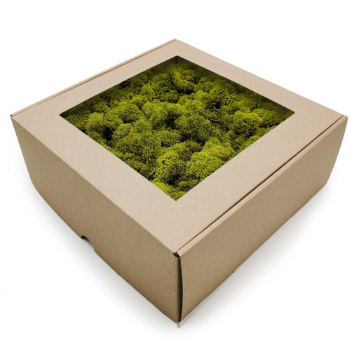 500g Mech chrobotek Limonkowy OCZYSZCZONY