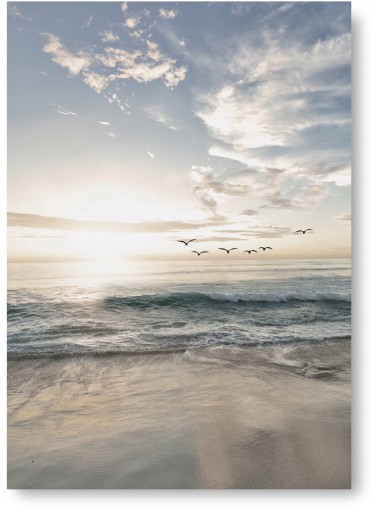 PLAŻA PTAKI plakat obraz B1 100x70cm #115