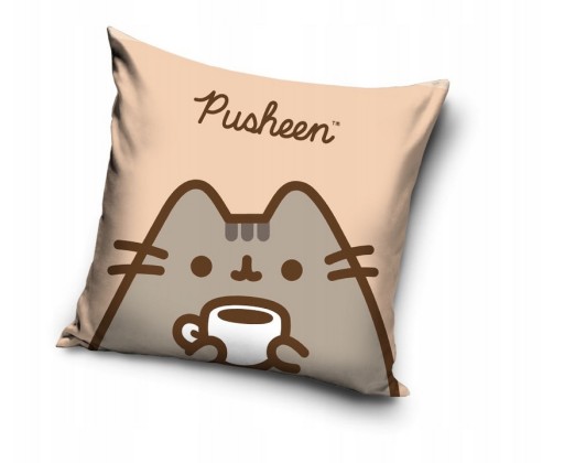 POSZEWKA DLA DZIECKA 40x40 PUSHEEN PUSZIN DEKORACYJNA MŁODZIEŻOWA