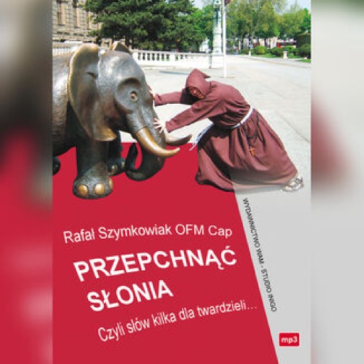Przepchnąć słonia. Czyli słów kilka