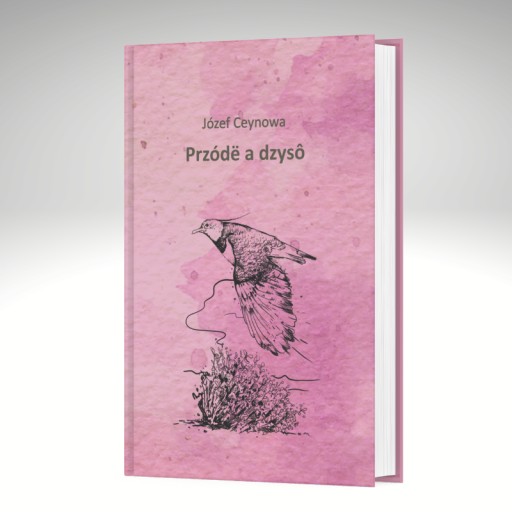 Przódë a dzysô (Kiedyś i dziś)
