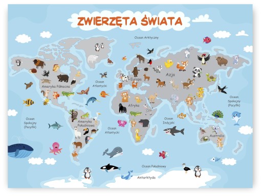 Zwierzęta Świata dla dzieci Obrazek 21x30 plakat #91