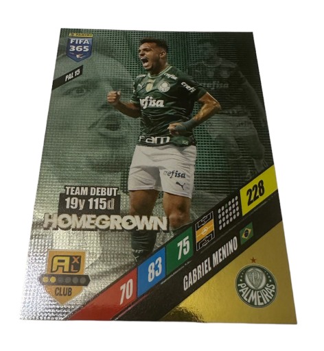 Fifa 365 2024 Adrenalyn Palmeiras PAL 15 Menino