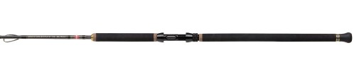 Wędka Penn Regiment II Jig 1,80m 30lb