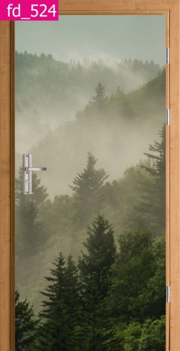 FOTOTAPETA OKLEINA NA DRZWI SZAFĘ LAS NATURA MGŁA