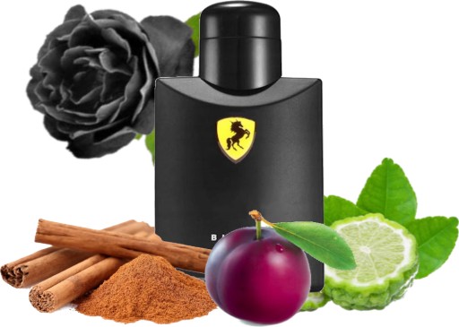 FERRERI ROSS BLACK Perfumy Męskie 125 ml