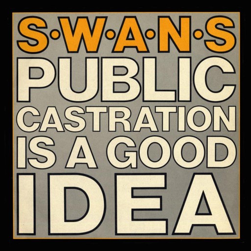 Swans 