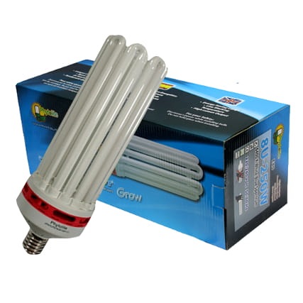 PHYTOLITE LAMPA / ŻARÓWKA CFL 200W WZROST