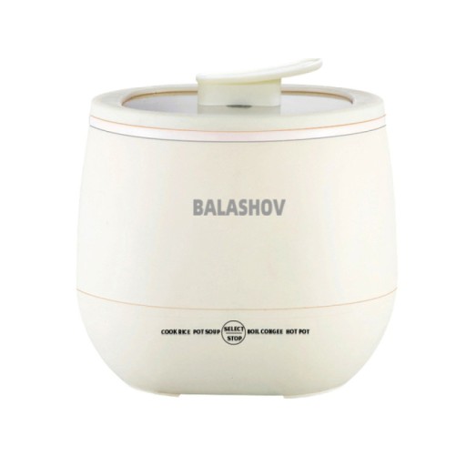 220V Mini Smart Rice Cooker Non-stick Household