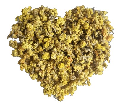 Kocanka piaskowa 100 g