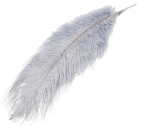 STRUSIE PIÓRA PIÓRO NATURALNE 35-40CM SZARE 02